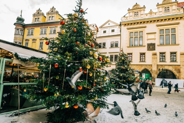 Mercados Navideños en Praga en Diciembre 2025. Salidas: Barcelona, Madrid, Málaga.